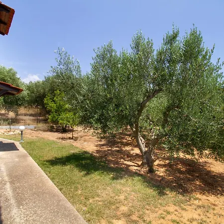 Tanias Seafront Villa-by Rentalspro Services- Halkidiki Nea Poteidaia